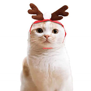 Ciaovie™ Costume de Noël pour Animaux de Compagnie