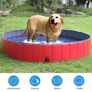 Piscine Portable Pliable pour Animaux de Compagnie