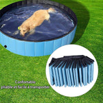 Piscine Portable Pliable pour Animaux de Compagnie