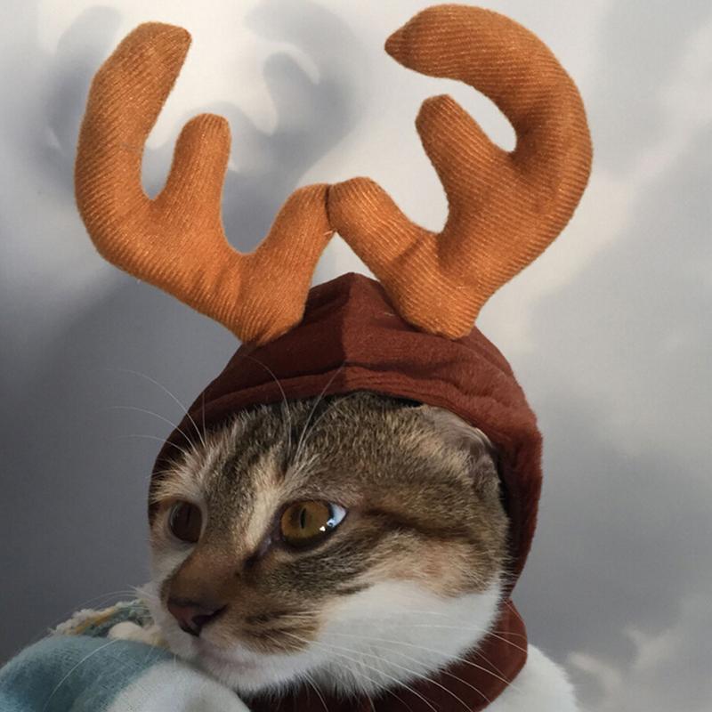 Ciaovie™ Costume de Noël pour Animaux de Compagnie