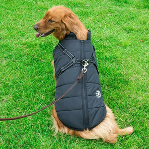 Manteau d'hiver à fermeture éclair pour chiens