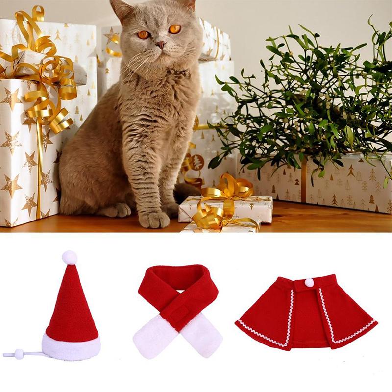 Ciaovie™ Costume de Noël pour Animaux de Compagnie