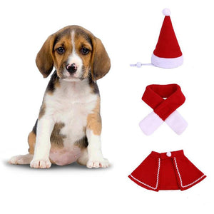 Ciaovie™ Costume de Noël pour Animaux de Compagnie