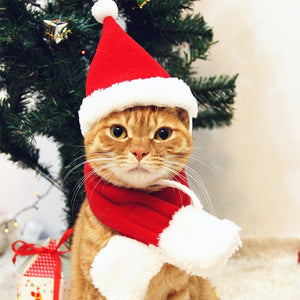 Ciaovie™ Costume de Noël pour Animaux de Compagnie