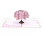 Carte 3D Cherry Blossom